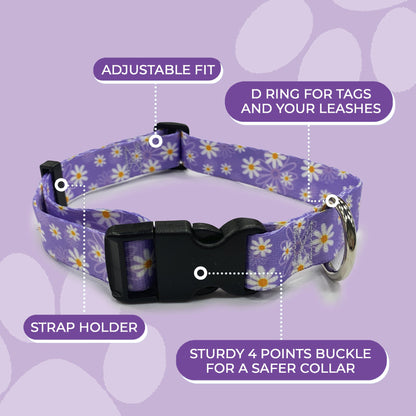 perri's pet products, dog collar, daisy purple