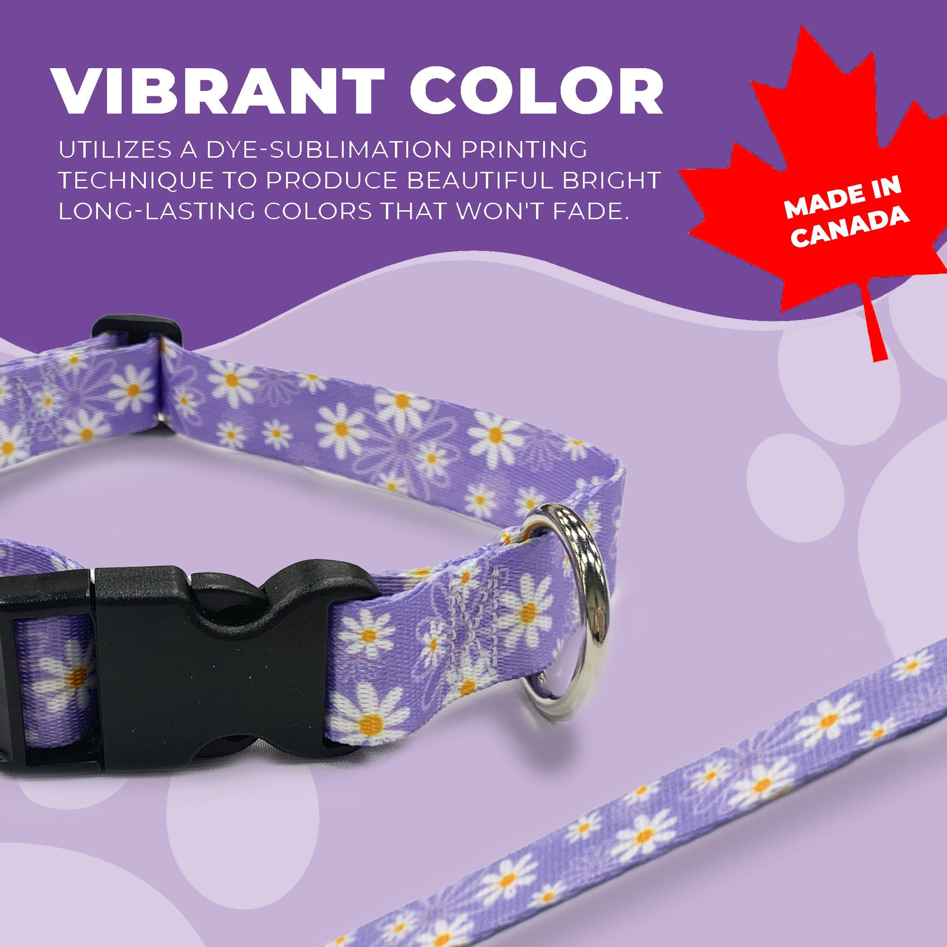 perri's pet products, dog collar, daisy purple