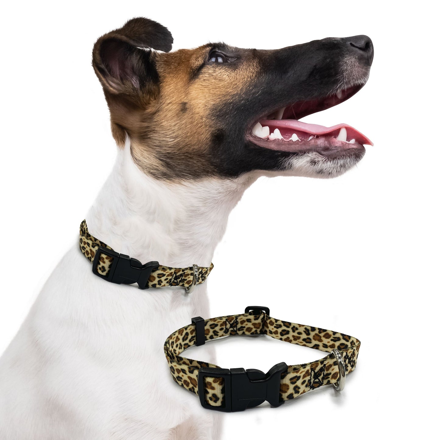 perri's pet products, dog collars, cheetah print gold