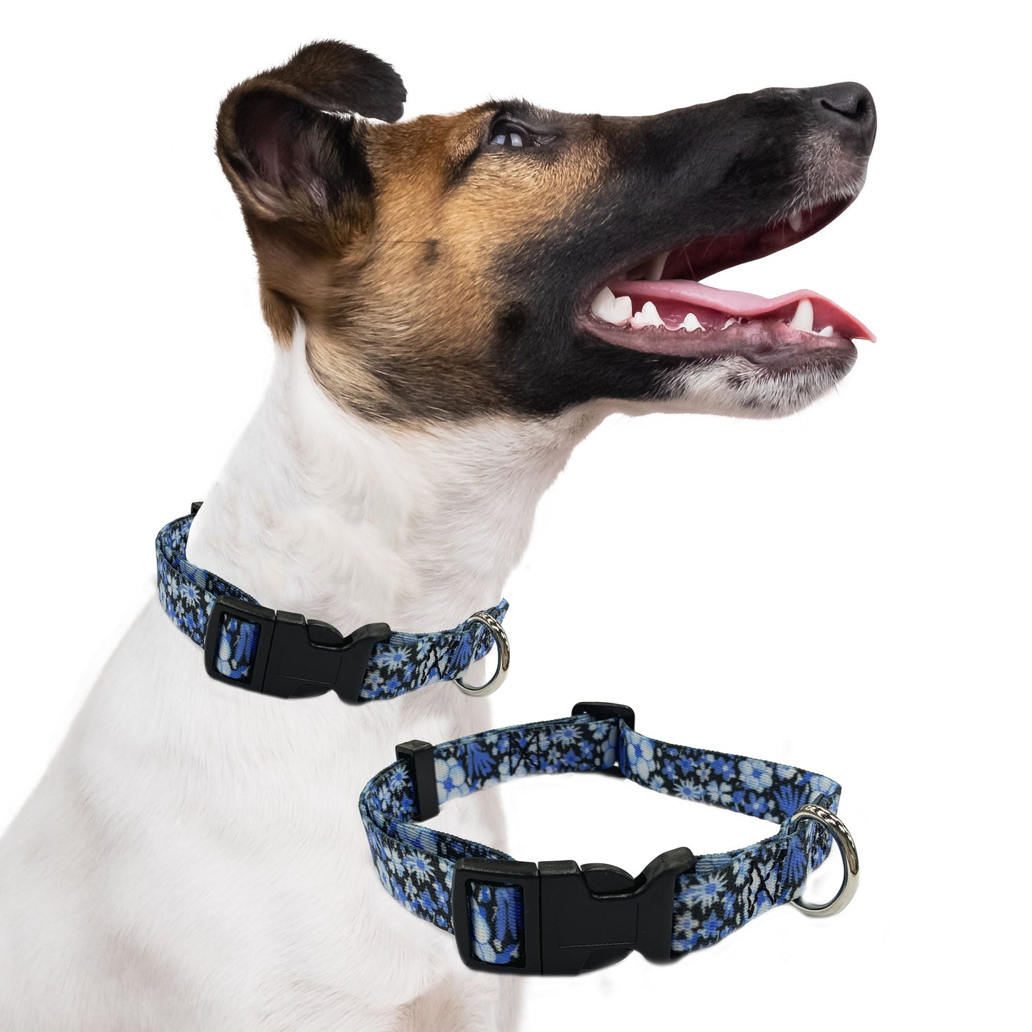 perri's pet products, dog collar, blue floral