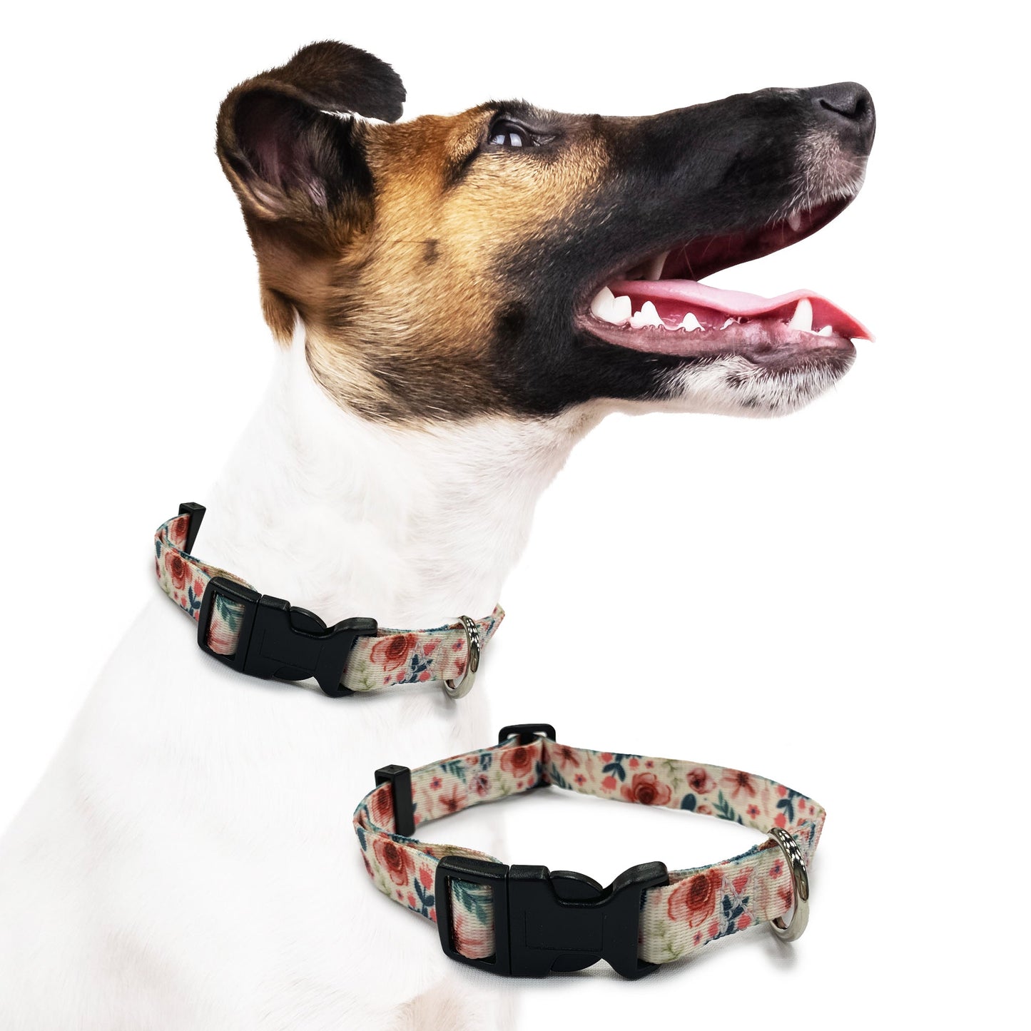 perri's pet products, dog collar, spring floral