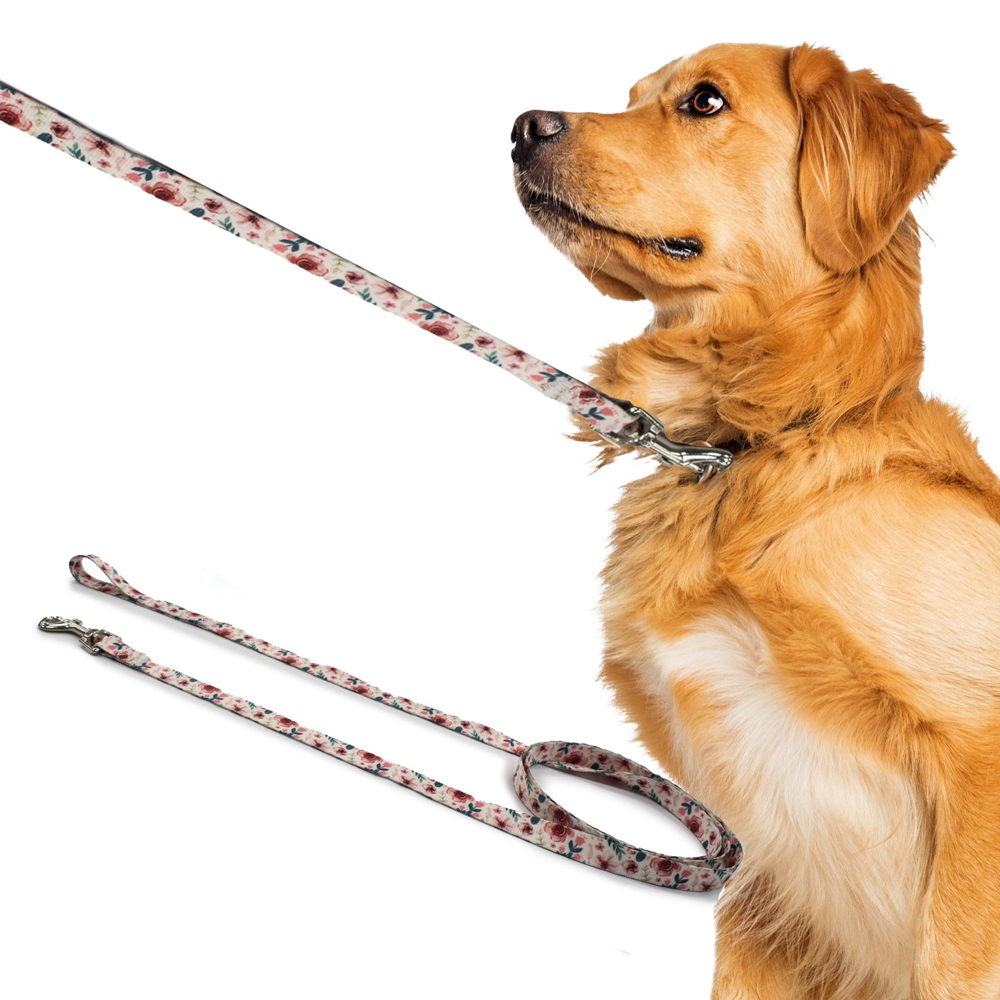 perri's pet products, dog leash, spring floral