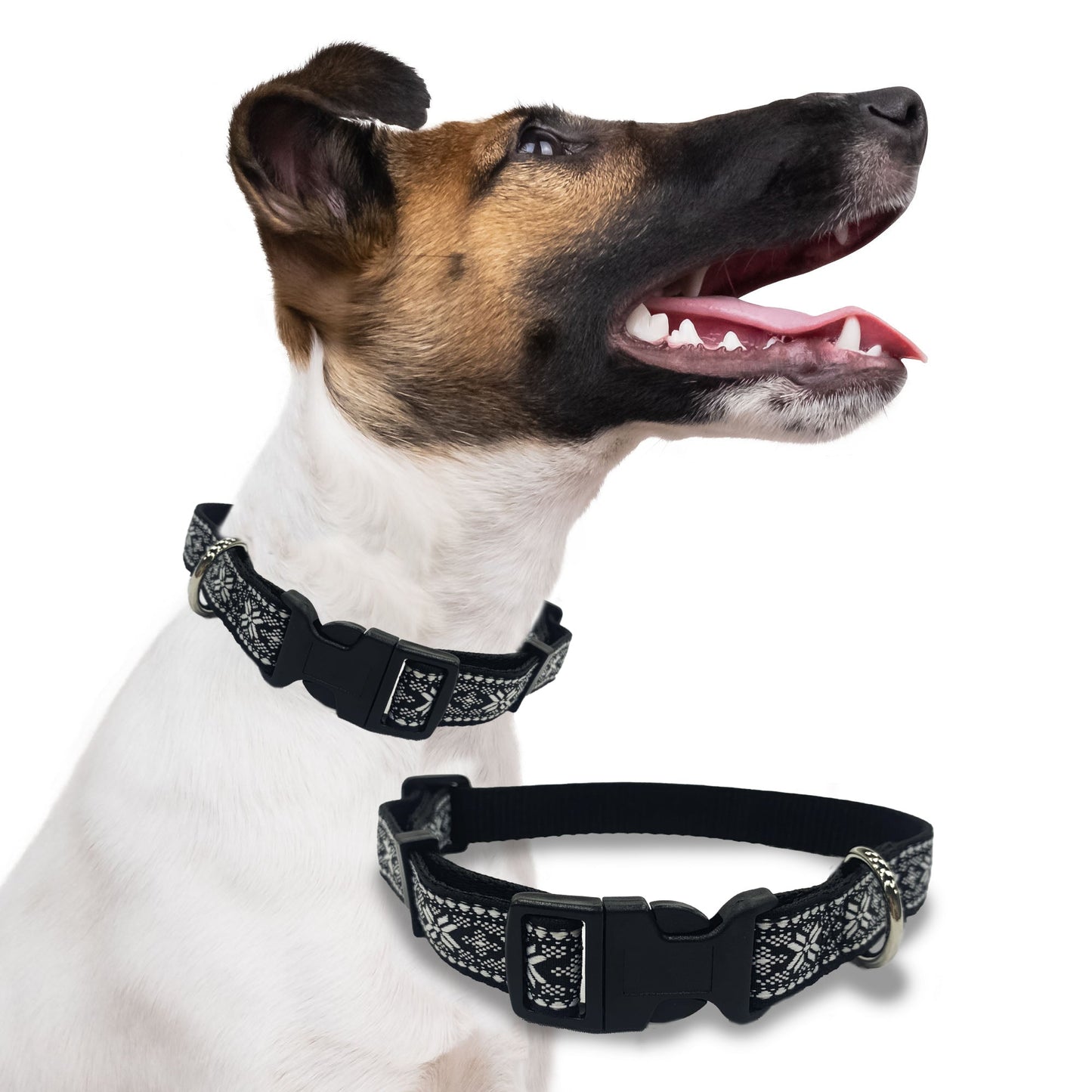 Perri's Pet Products, dog collar, winter blizzard jacquard