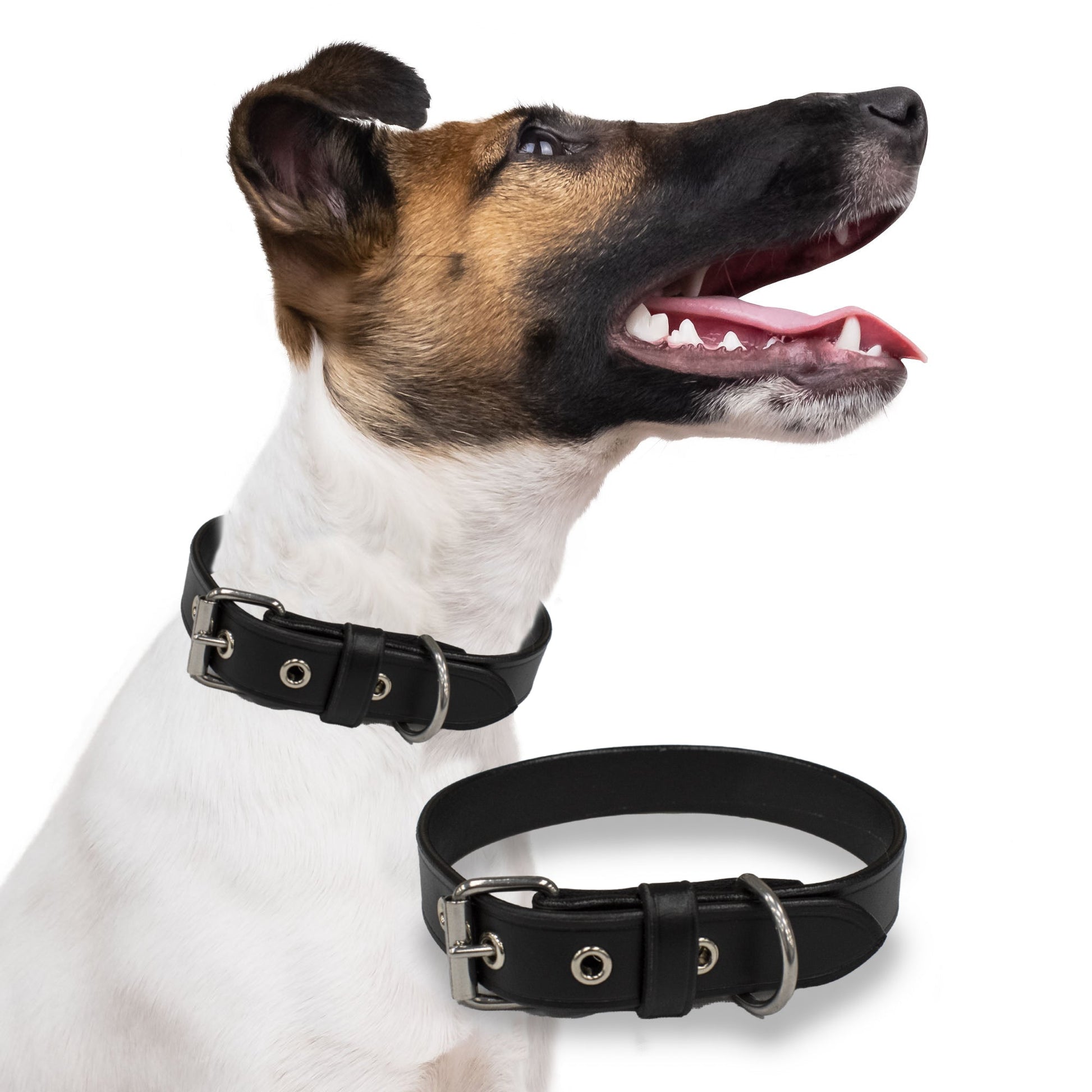 Perri's Pet Products, dog collars, black leather