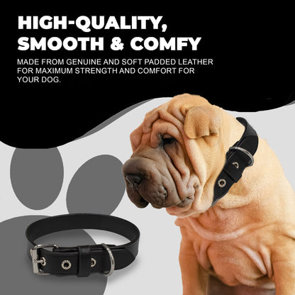 Perri's Pet Products, dog collars, black leather