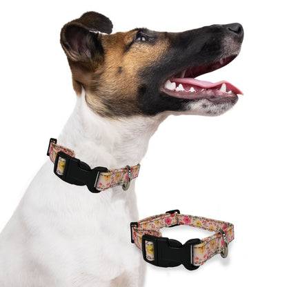 sunset tulips, perri's pet products, dog collar, dog lifestyle, reflective