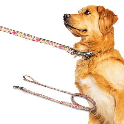 sunset tulips, perri's pet products, dog leash, reflective, dog lifestyle