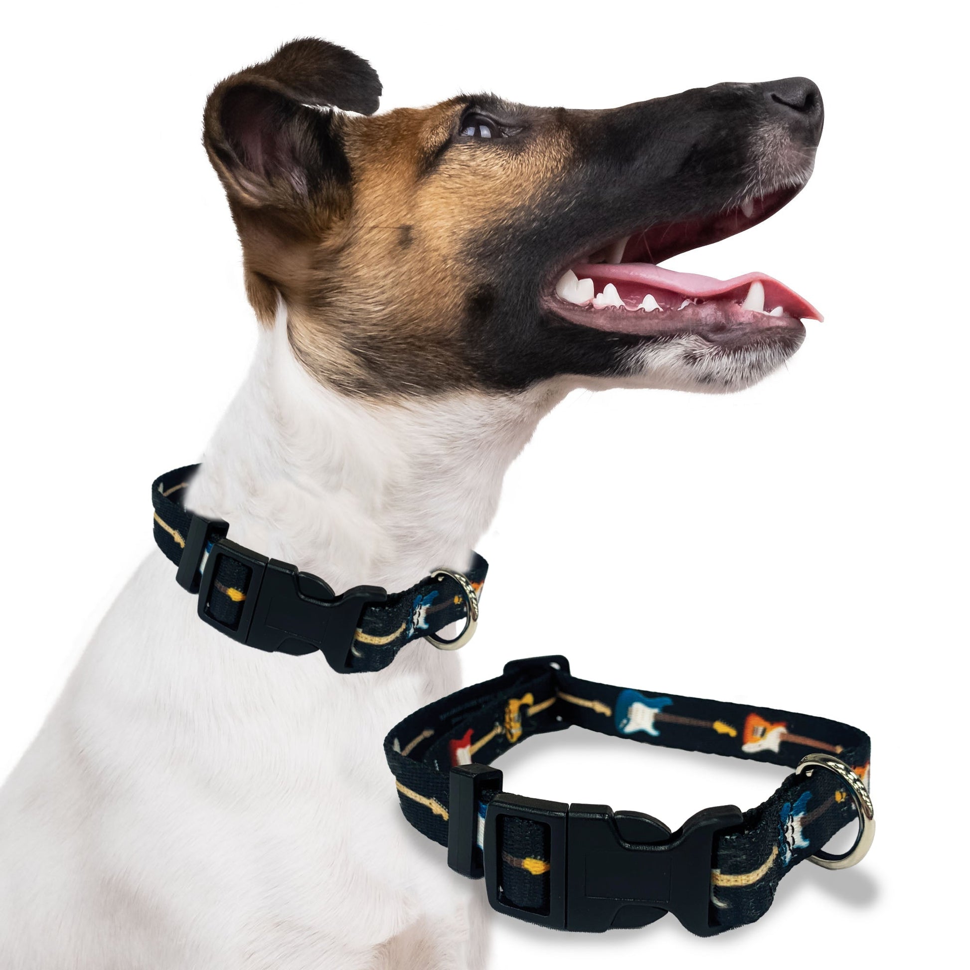 Perri's Pet Products, dog collar, fender guitars