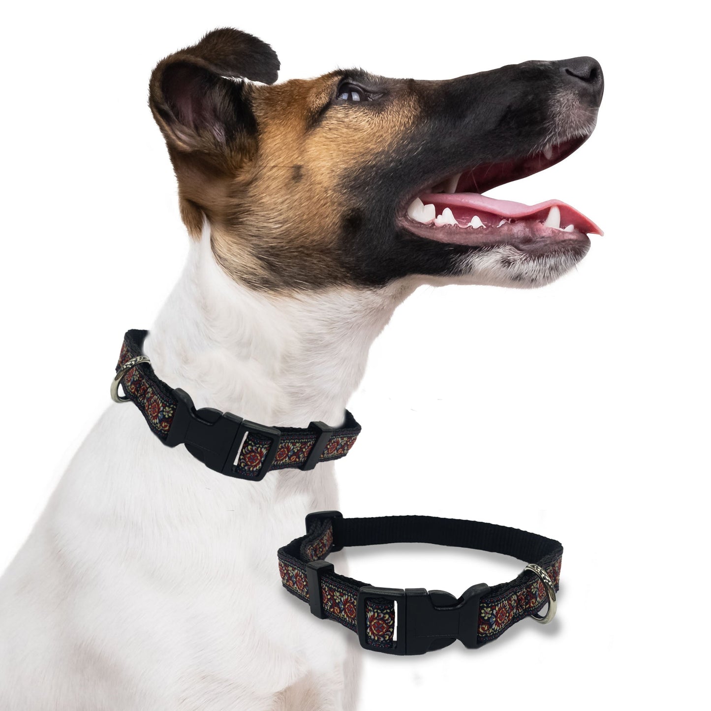 Perri's Pet Products, dog collars, royal bloom