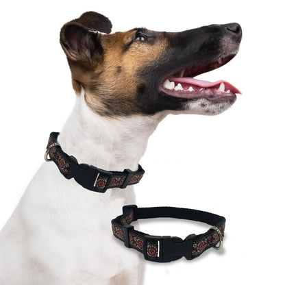 Perri's Pet Products, dog collars, royal bloom