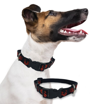 Perri's Pet Products, dog collar, tango rose