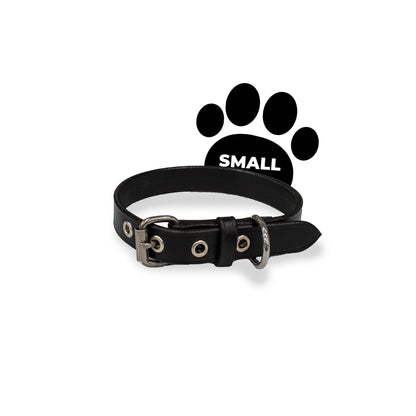 Perri's Pet Products, dog collars, black leather