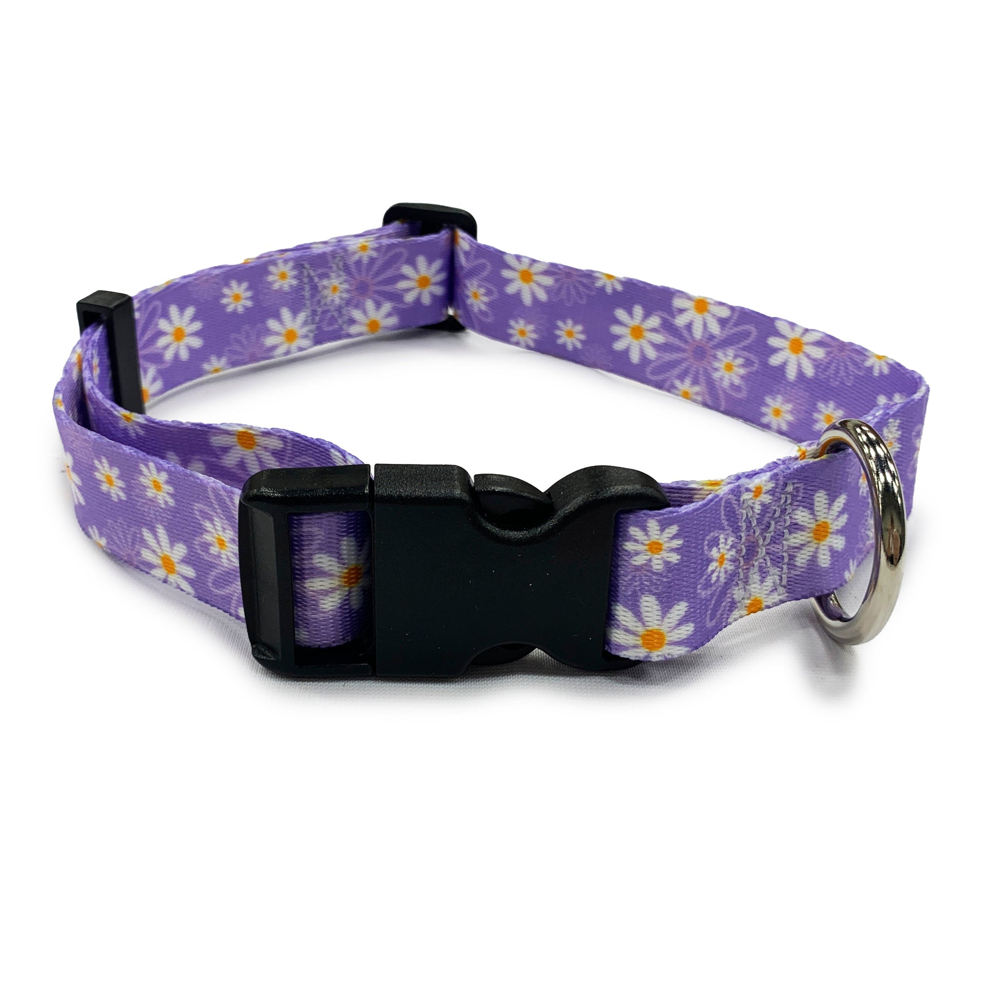 perri's pet products, dog collar, daisy purple