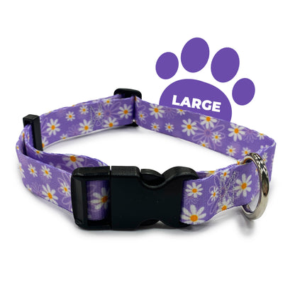 perri's pet products, dog collar, daisy purple