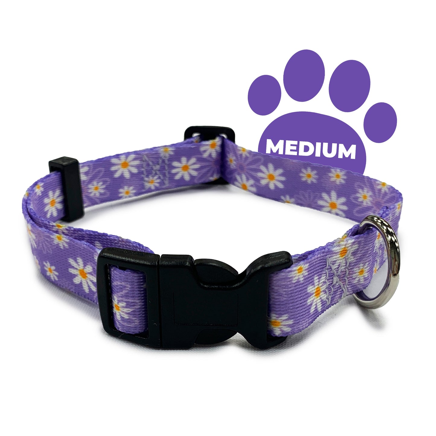 perri's pet products, dog collar, daisy purple