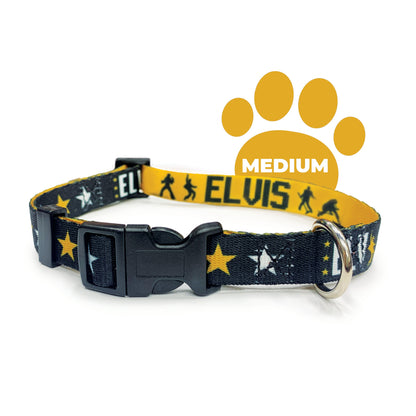 Perri's Pet Products, dog collar, black and gold, elvis presley