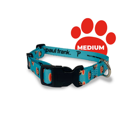 Perri's Pet Products, dog collar, paul frank julius