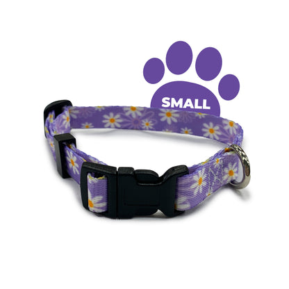 perri's pet products, dog collar, daisy purple