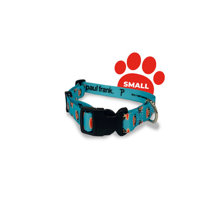 Perri's Pet Products, dog collar, paul frank julius