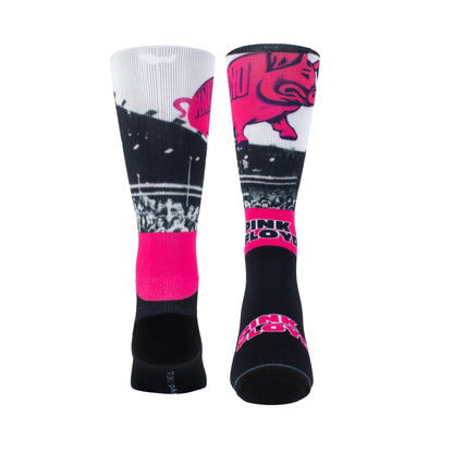 PINK FLOYD PIGS Socks, 1 Pair