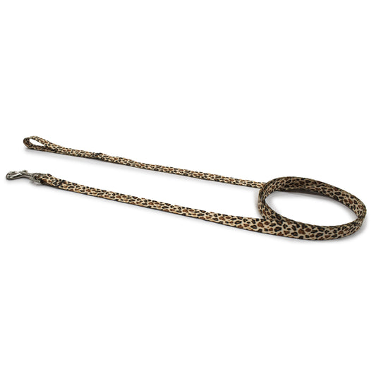 perri's pet products, dog leash, cheetah print gold