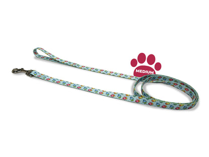 colourful cupcakes, pet products, dog leash, medium