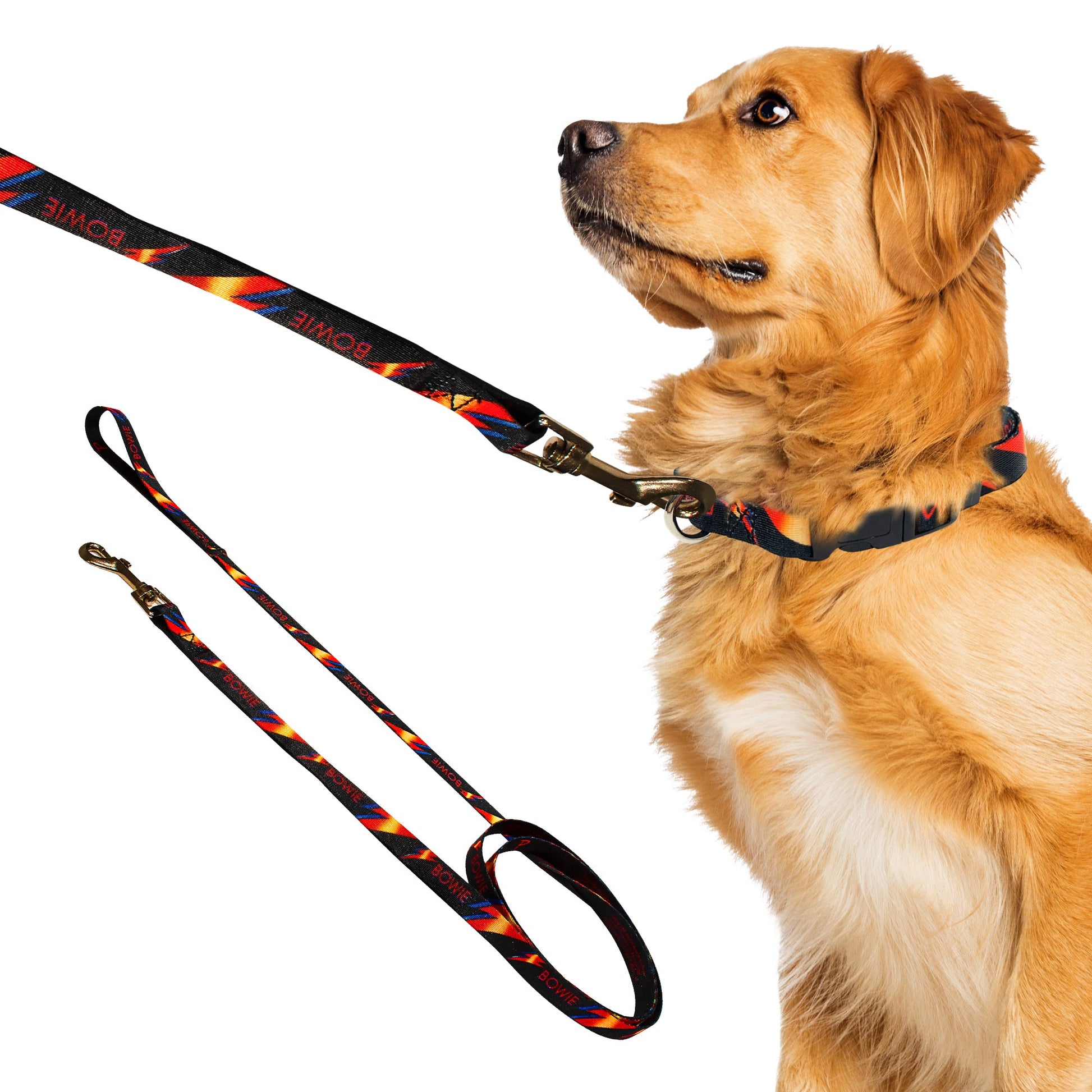 perri's pet products, dog leash, Bowie lightning bolt