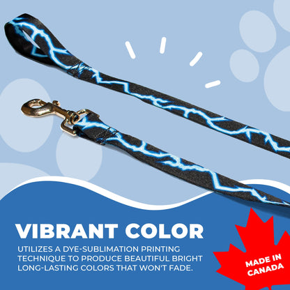 perri's pet products, dog leash, blue lightning