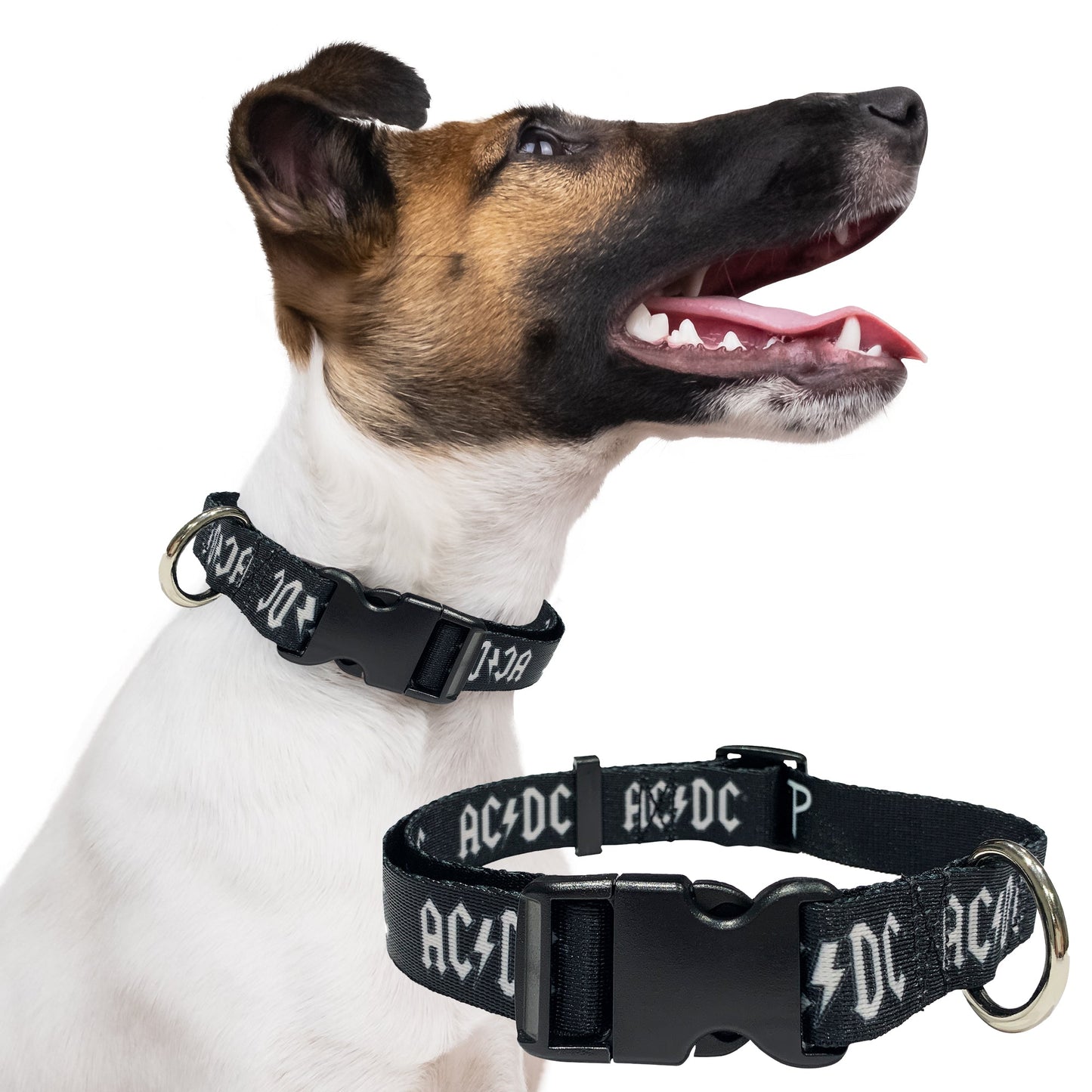 perri's pet products, dog collar, ACDC logo