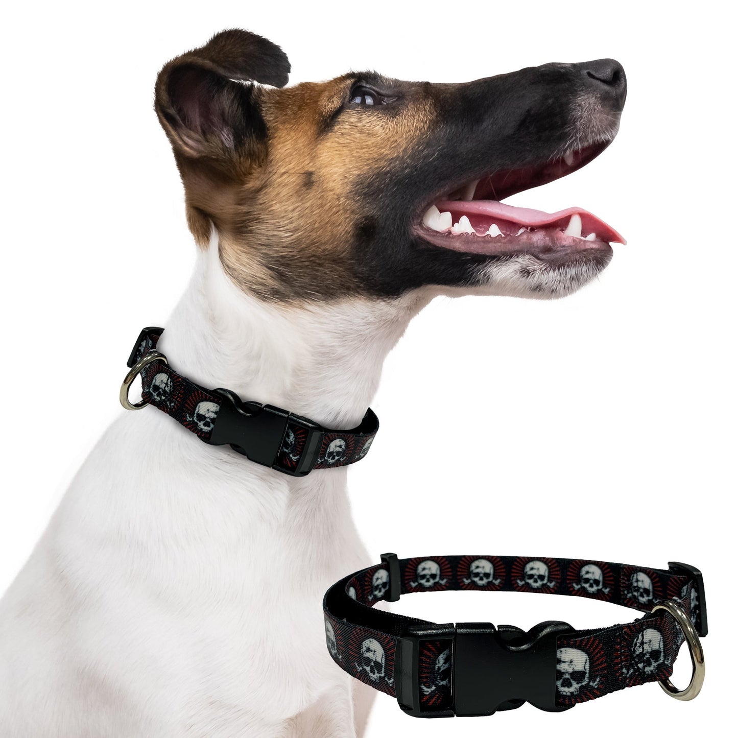 perri's pet products, dog collar, alchemy red skulls