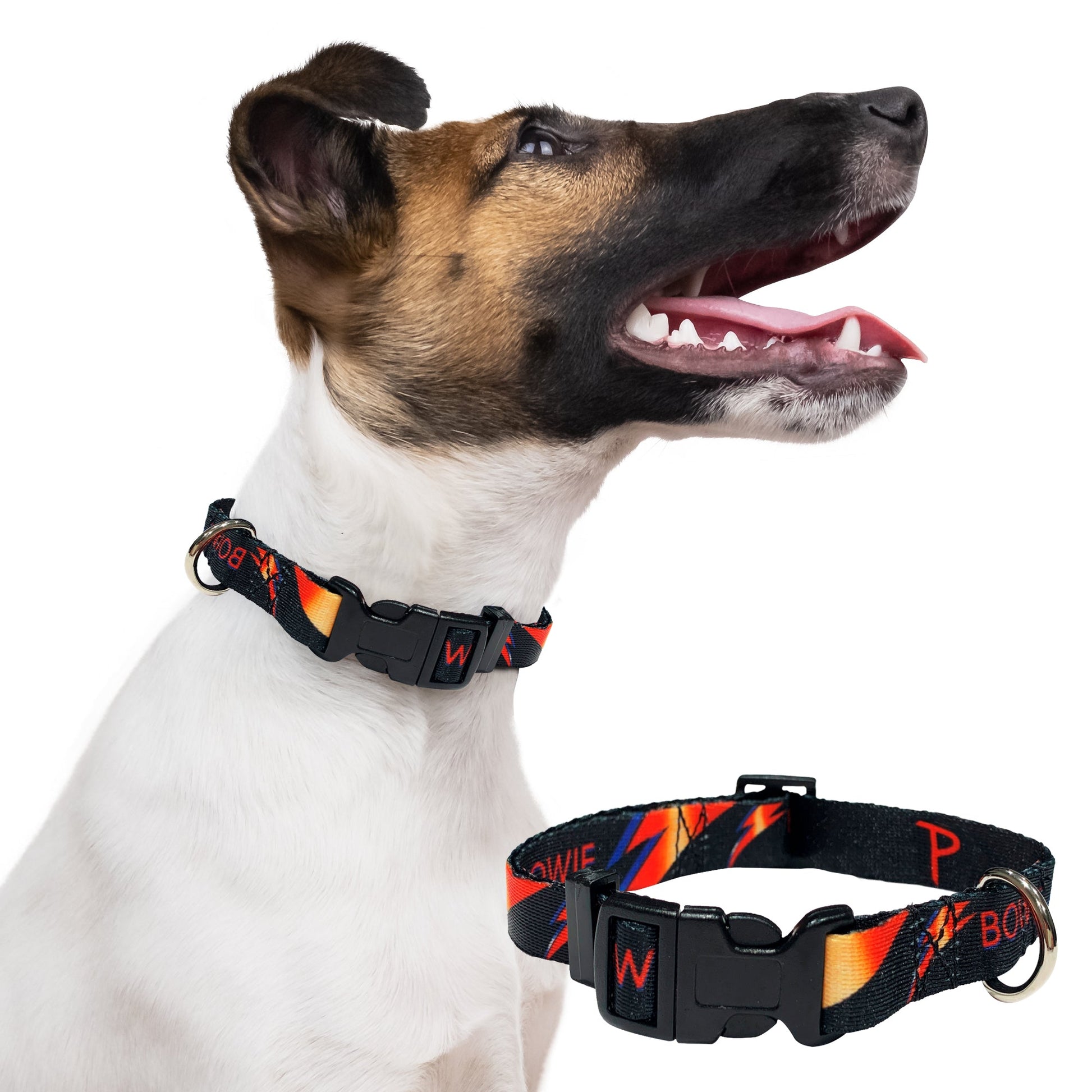 perri's pet products, dog collar, Bowie lightning bolt