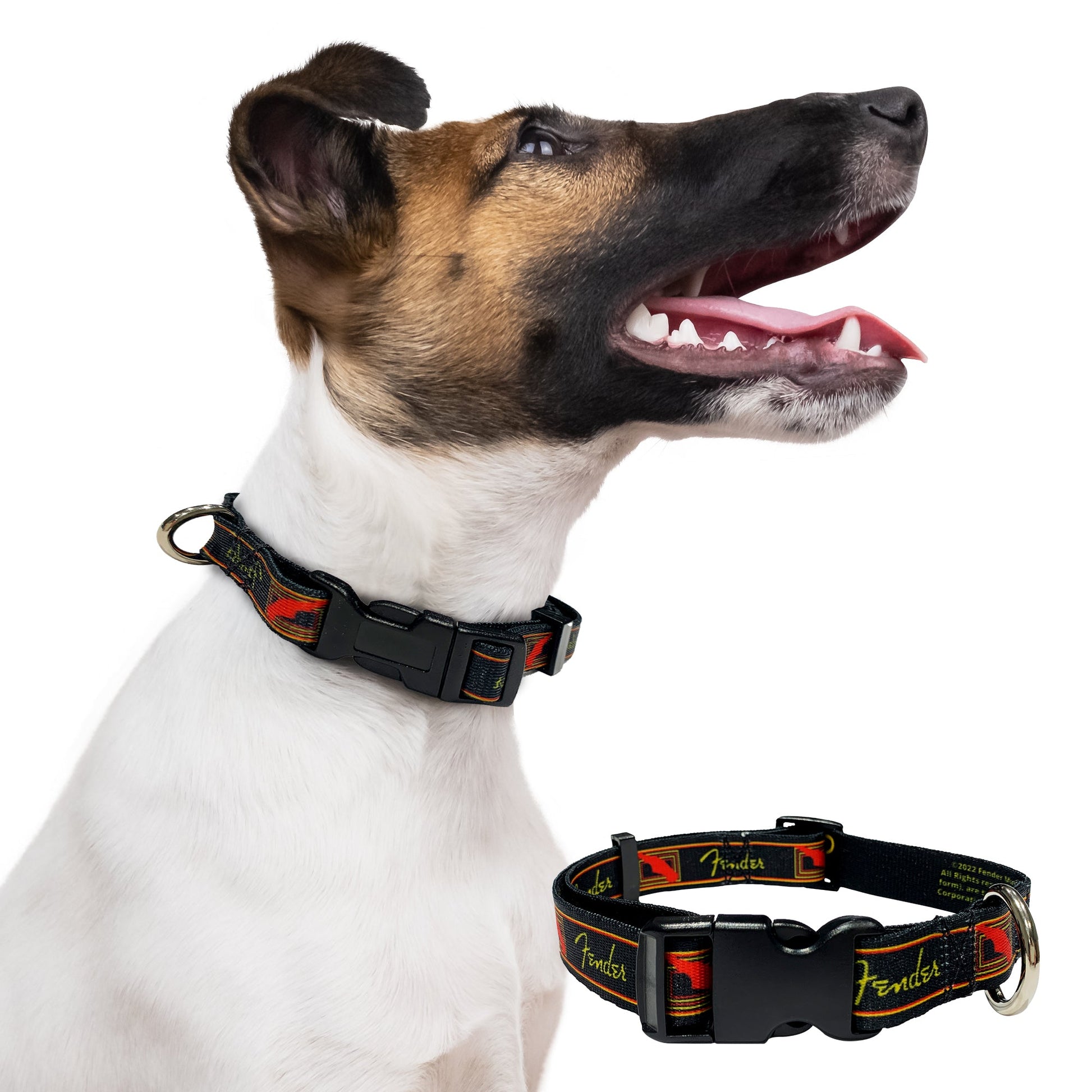 perri's pet products, dog collar, black, yellow and red Fender monogram