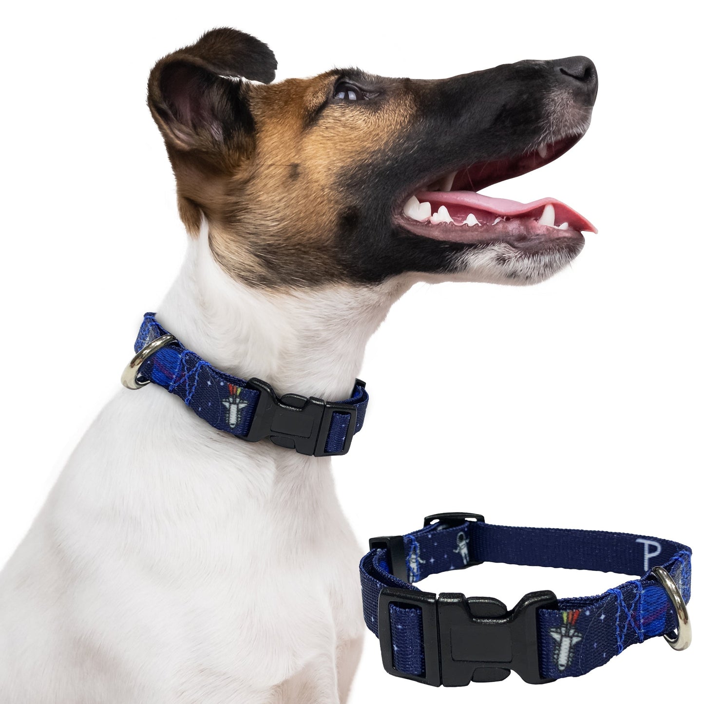 perri's pet products, dog collar, space