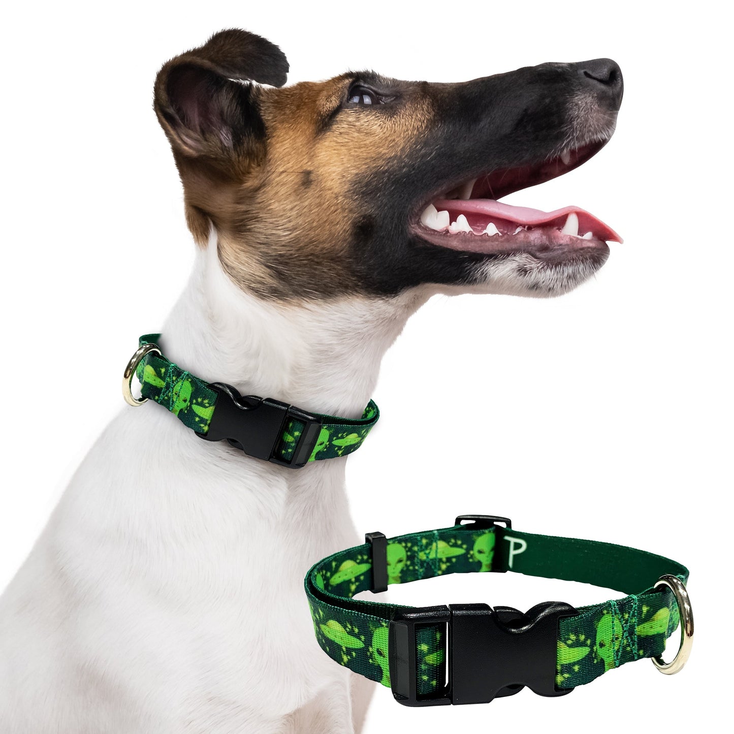 perri's pet products, dog collar, green aliens