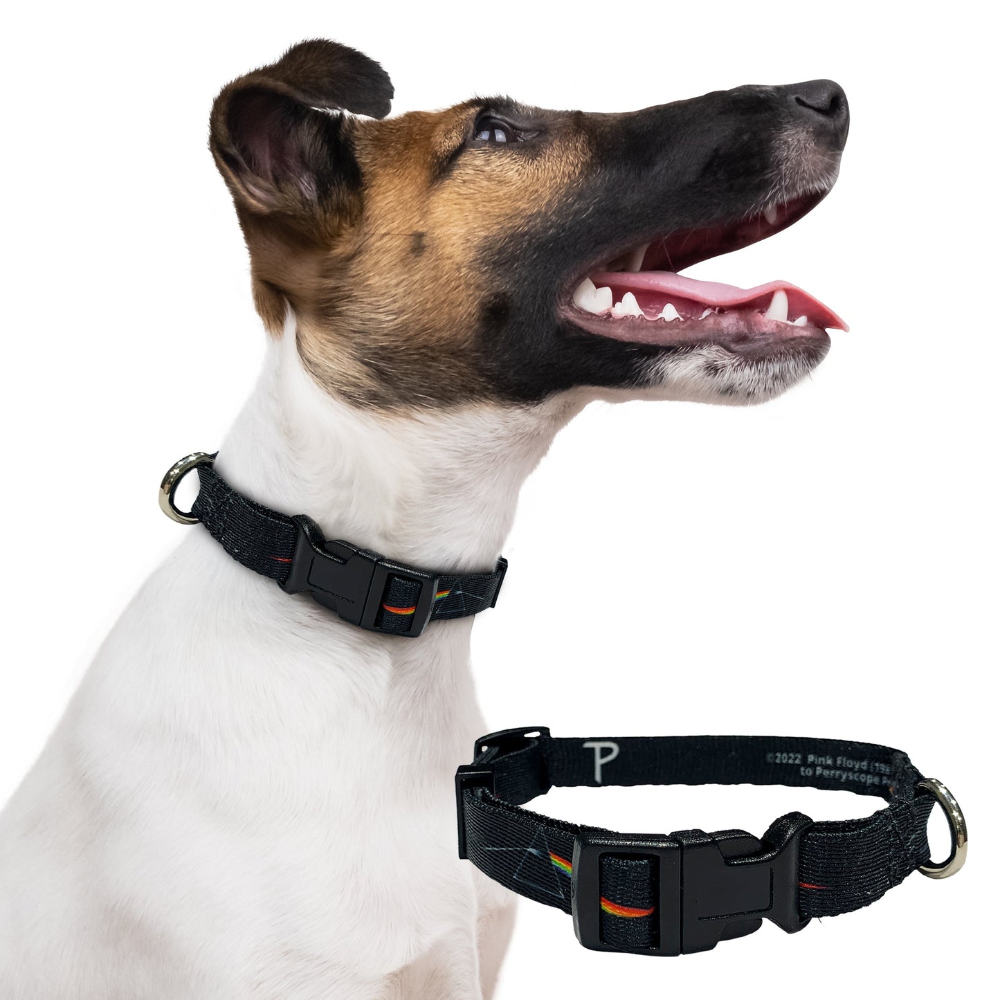 perri's pet products, dog collar, Pink Floyd prism