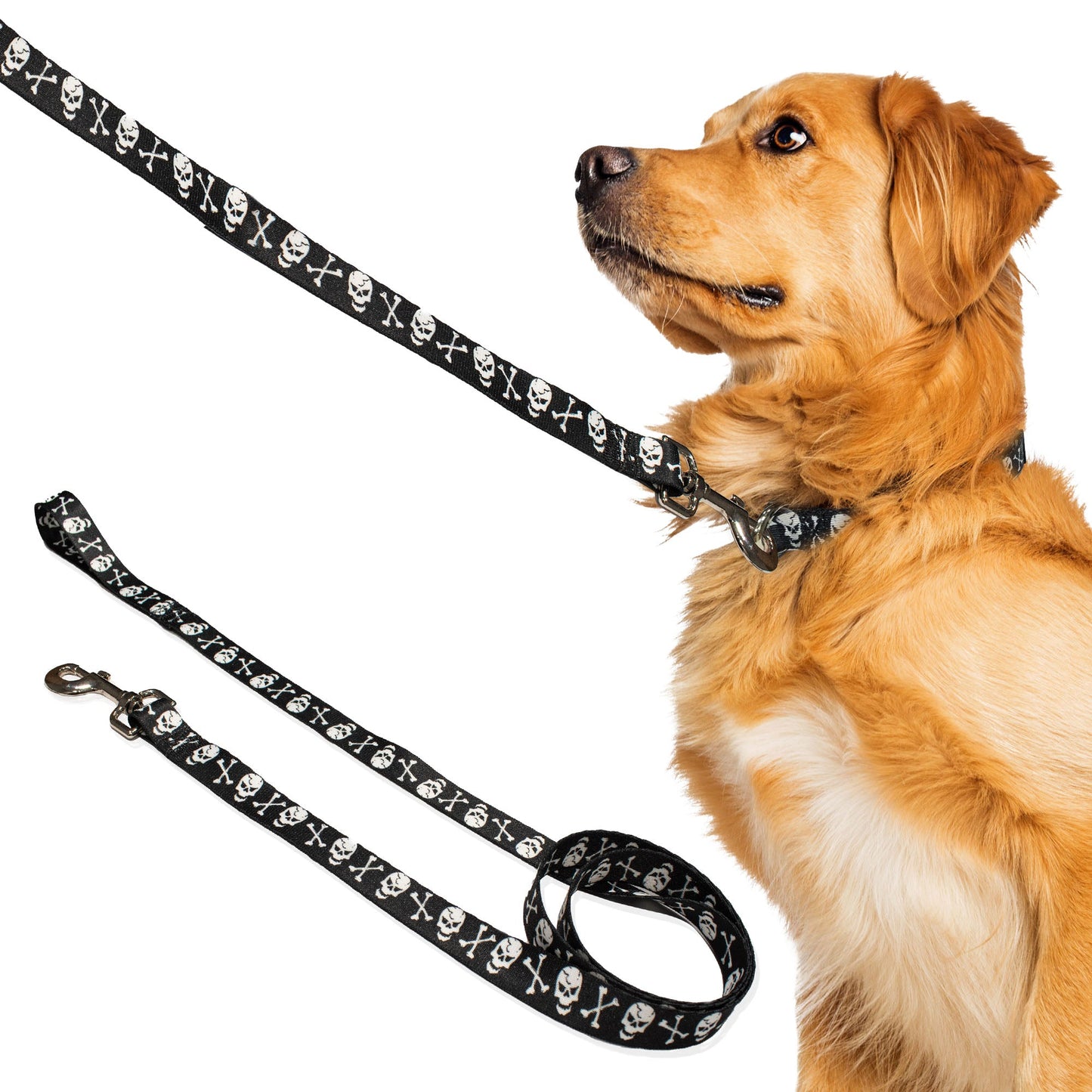 perri's pet products, dog leash, black and white skulls